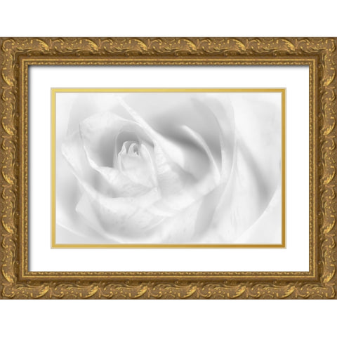 Hint Of A Rose Gold Ornate Wood Framed Art Print with Double Matting by Pfeiffer, Peter