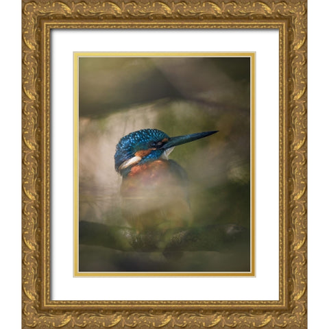 A hidden gem Gold Ornate Wood Framed Art Print with Double Matting by Renmyr, Magnus