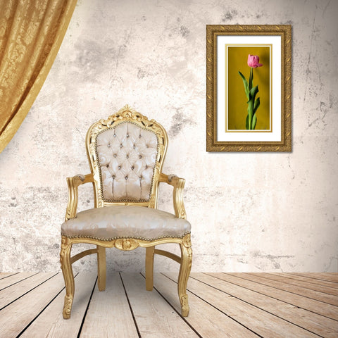 Tulip3 Gold Ornate Wood Framed Art Print with Double Matting by De Malleray, Delphine