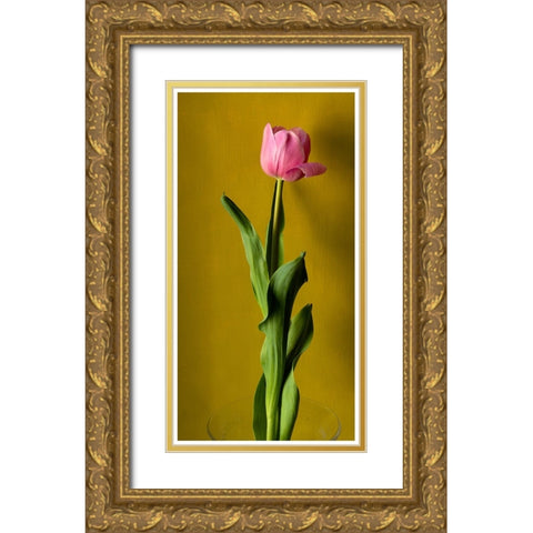 Tulip3 Gold Ornate Wood Framed Art Print with Double Matting by De Malleray, Delphine