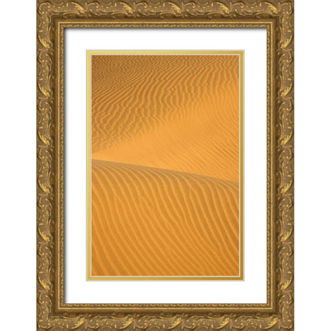 kavir abuzid Gold Ornate Wood Framed Art Print with Double Matting by Farhadsehat