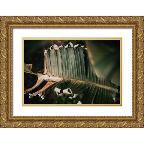 Palm Decay Gold Ornate Wood Framed Art Print with Double Matting by Mossholder, Tim