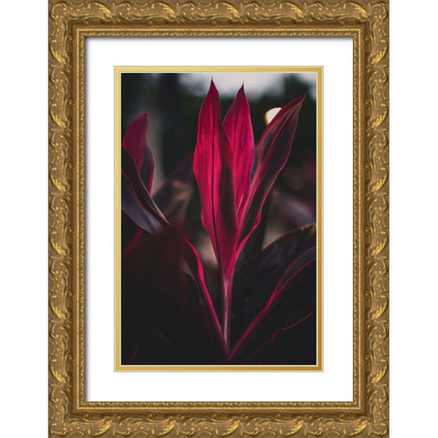 Red Plan at Dusk Gold Ornate Wood Framed Art Print with Double Matting by Mossholder, Tim