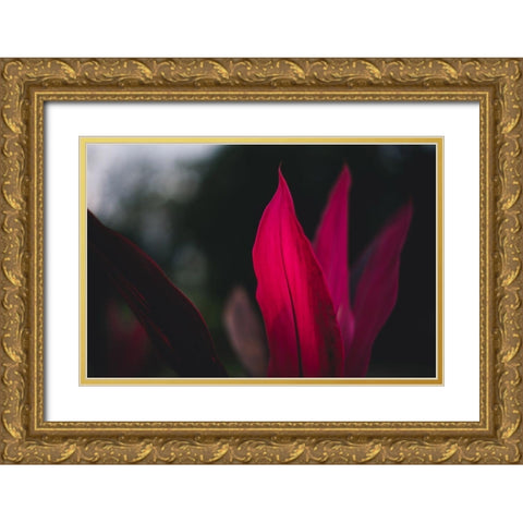 Red Plan at Dusk Gold Ornate Wood Framed Art Print with Double Matting by Mossholder, Tim