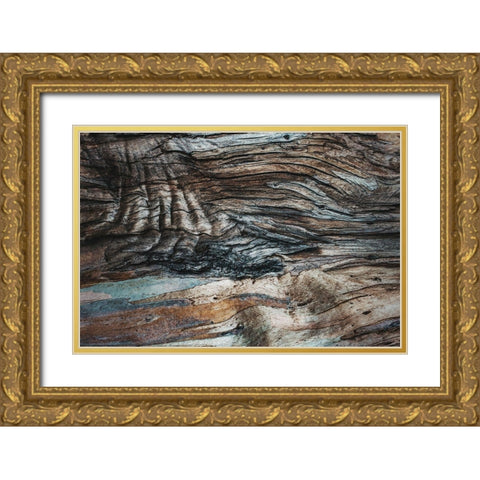 Eucalyptus Texture Gold Ornate Wood Framed Art Print with Double Matting by Mossholder, Tim