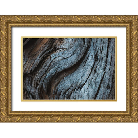 Eucalyptus Texture Gold Ornate Wood Framed Art Print with Double Matting by Mossholder, Tim