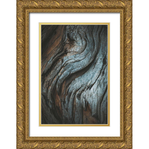 Eucalyptus Texture Gold Ornate Wood Framed Art Print with Double Matting by Mossholder, Tim