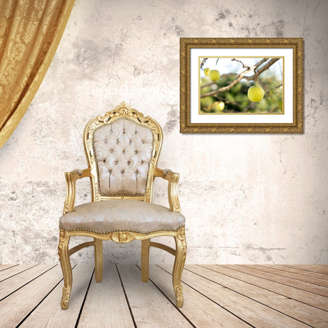 Apples Gold Ornate Wood Framed Art Print with Double Matting by Mossholder, Tim