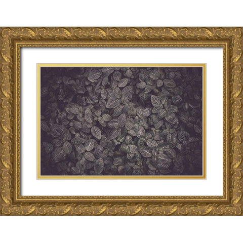 Flora Blanket Gold Ornate Wood Framed Art Print with Double Matting by Mossholder, Tim