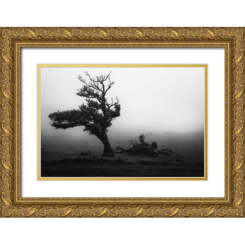 Fanal #2 Gold Ornate Wood Framed Art Print with Double Matting by Moravek, Martin