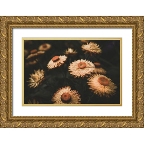 Faded Flowers Gold Ornate Wood Framed Art Print with Double Matting by Mossholder, Tim