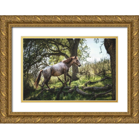 Hillside Horse Gold Ornate Wood Framed Art Print with Double Matting by Mossholder, Tim