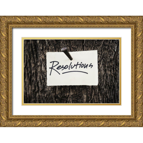 Resolutions Gold Ornate Wood Framed Art Print with Double Matting by Mossholder, Tim