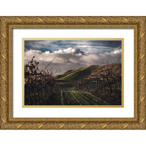 Dark Vineyards Gold Ornate Wood Framed Art Print with Double Matting by Mossholder, Tim