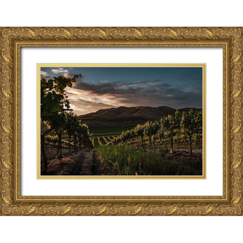 Vinyards Gold Ornate Wood Framed Art Print with Double Matting by Mossholder, Tim