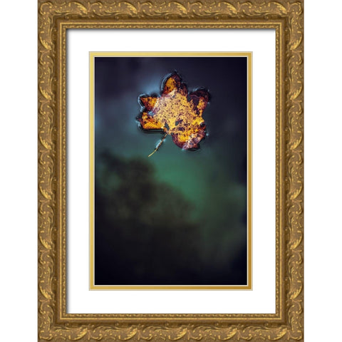 Leaf on Water Gold Ornate Wood Framed Art Print with Double Matting by Mossholder, Tim
