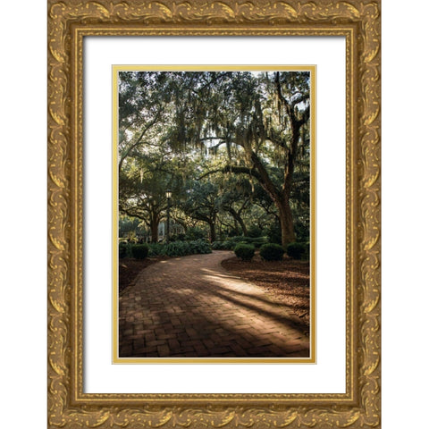 Oaks in Savannah Gold Ornate Wood Framed Art Print with Double Matting by Mossholder, Tim