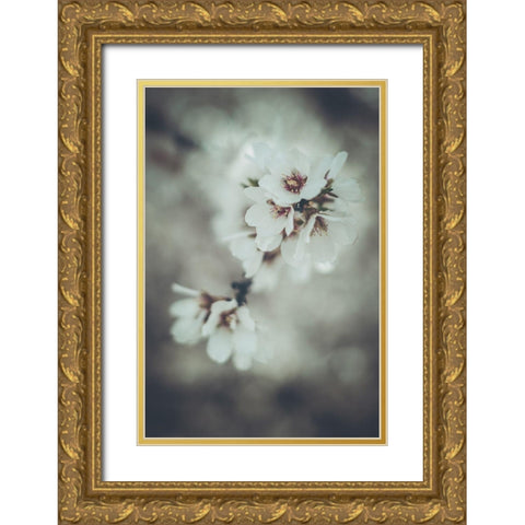 Almond Blossoms Gold Ornate Wood Framed Art Print with Double Matting by Mossholder, Tim