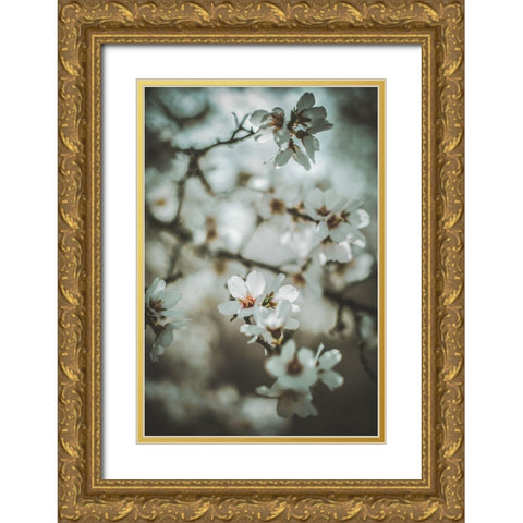 Almond Blossoms Gold Ornate Wood Framed Art Print with Double Matting by Mossholder, Tim