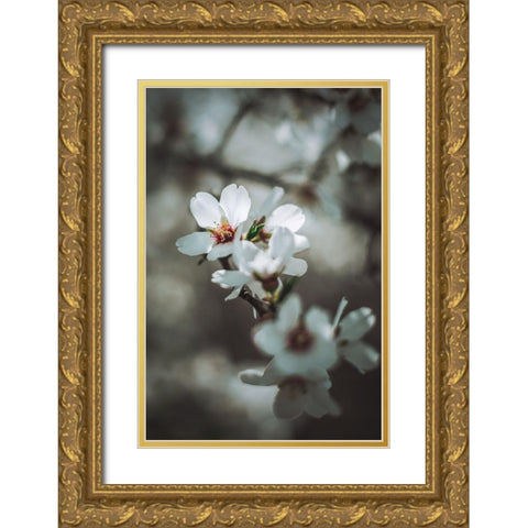 Almond Blossoms Gold Ornate Wood Framed Art Print with Double Matting by Mossholder, Tim