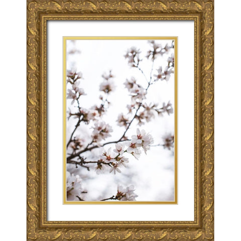 Almond Blossoms Gold Ornate Wood Framed Art Print with Double Matting by Mossholder, Tim