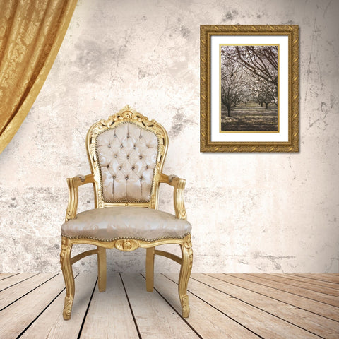 Almond Orchard Gold Ornate Wood Framed Art Print with Double Matting by Mossholder, Tim