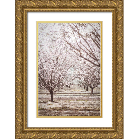Almond Orchard Gold Ornate Wood Framed Art Print with Double Matting by Mossholder, Tim