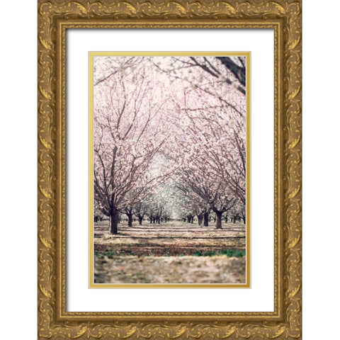 Almond Orchard Gold Ornate Wood Framed Art Print with Double Matting by Mossholder, Tim