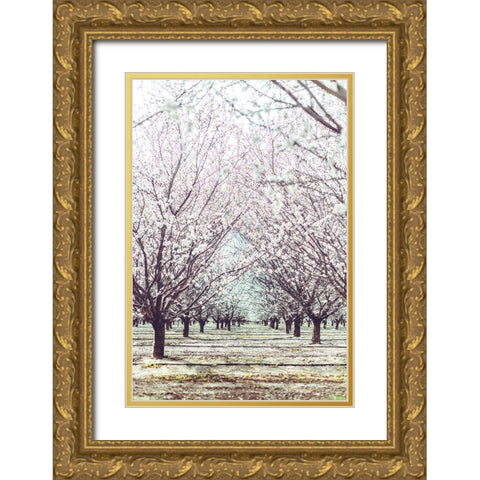 Almond Orchard Gold Ornate Wood Framed Art Print with Double Matting by Mossholder, Tim