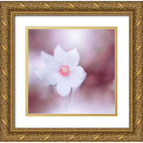 Eyes Wide Open.. Gold Ornate Wood Framed Art Print with Double Matting by Nan, Juliana