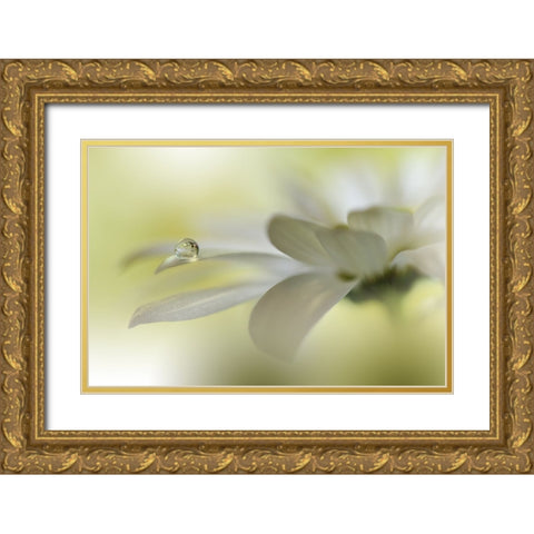 Dreams Of Heaven.. Gold Ornate Wood Framed Art Print with Double Matting by Nan, Juliana