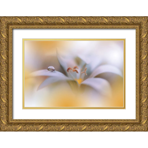 Miracle of Life.. Gold Ornate Wood Framed Art Print with Double Matting by Nan, Juliana