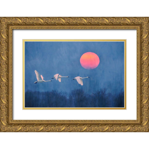 Foggy Sunrise Gold Ornate Wood Framed Art Print with Double Matting by Li, Rob