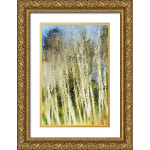 Acrylic Light Gold Ornate Wood Framed Art Print with Double Matting by Saito, Misaki