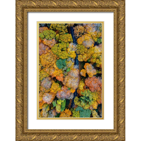 Autumn firework Gold Ornate Wood Framed Art Print with Double Matting by Jubic, Srecko