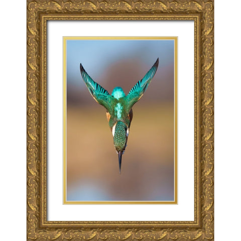 Aerodynamics II Gold Ornate Wood Framed Art Print with Double Matting by Sabol, Petar