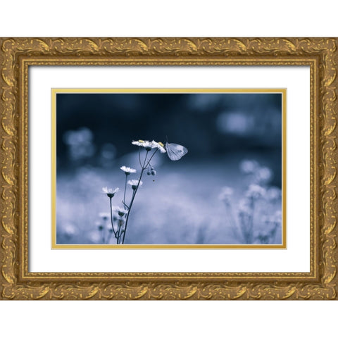 Small Butterfly Gold Ornate Wood Framed Art Print with Double Matting by Deng, Ivy