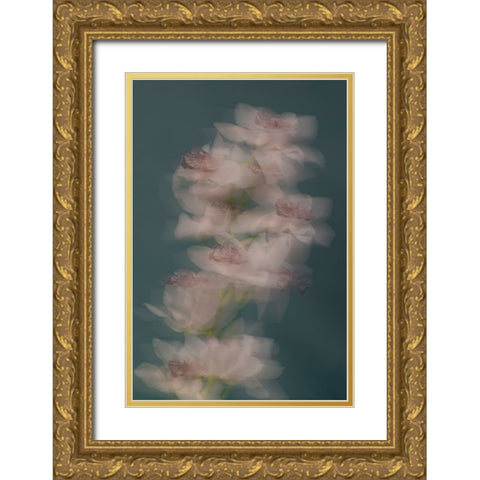 Slow motion Gold Ornate Wood Framed Art Print with Double Matting by Basso, Donatella