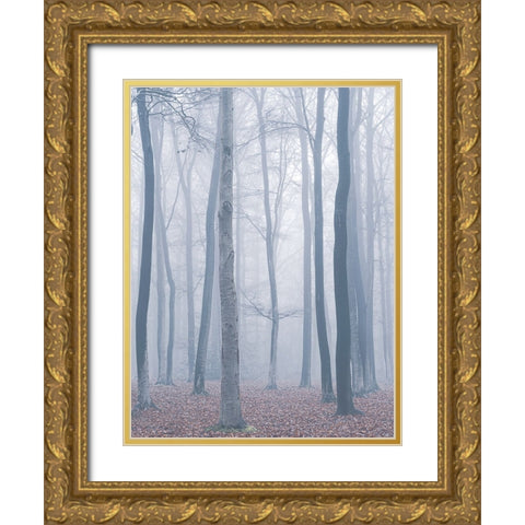 trees in fog Gold Ornate Wood Framed Art Print with Double Matting by Mies, Maurice