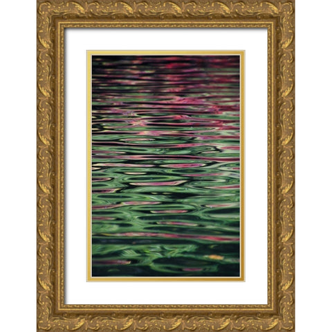 Flower reflection Gold Ornate Wood Framed Art Print with Double Matting by Alcantara, Miguel