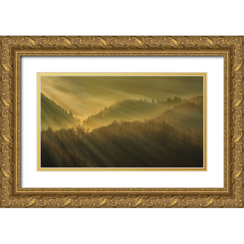 Rays of morning Gold Ornate Wood Framed Art Print with Double Matting by Bor