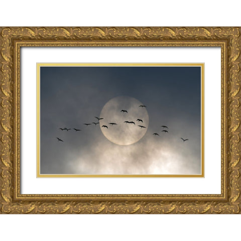 Wings Gold Ornate Wood Framed Art Print with Double Matting by Caterina, Walter