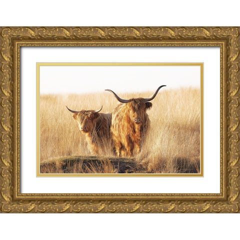 Young and old Highlander Gold Ornate Wood Framed Art Print with Double Matting by Van Den, Jaap