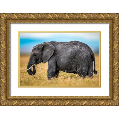 Elephant Gold Ornate Wood Framed Art Print with Double Matting by Elsheshtawy, Ahmed