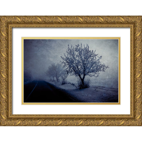 At night foggy Gold Ornate Wood Framed Art Print with Double Matting by Kazamil, Farid