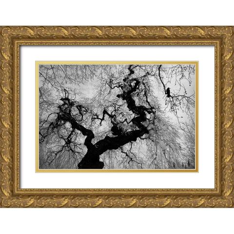 if on a winters day Gold Ornate Wood Framed Art Print with Double Matting by Gabor, Nicoleta