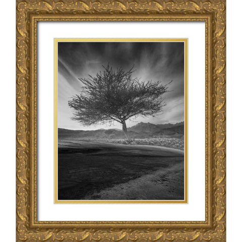 Revival Gold Ornate Wood Framed Art Print with Double Matting by Alsubhi, Anas