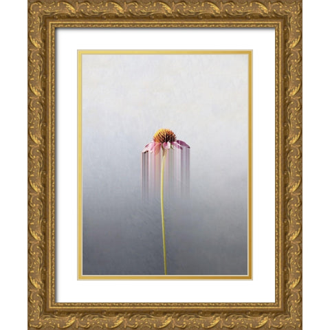 Single flower Gold Ornate Wood Framed Art Print with Double Matting by Cederberg, Marcus