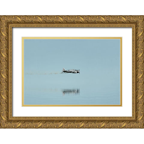 Fly low Gold Ornate Wood Framed Art Print with Double Matting by Cederberg, Marcus