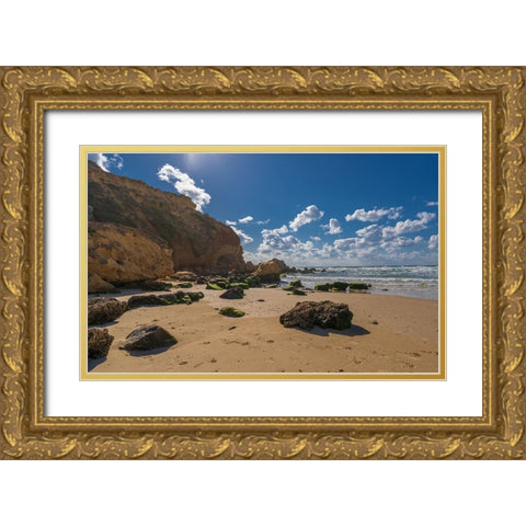 After The Storm Gold Ornate Wood Framed Art Print with Double Matting by Gelman, Alan